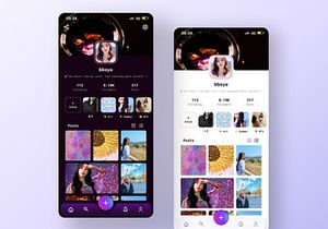 PicVerse v1.0 - The Ultimate Image Sharing & Photo Social Network Platform 1.0