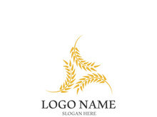 Wheat logo vector icon illustration design