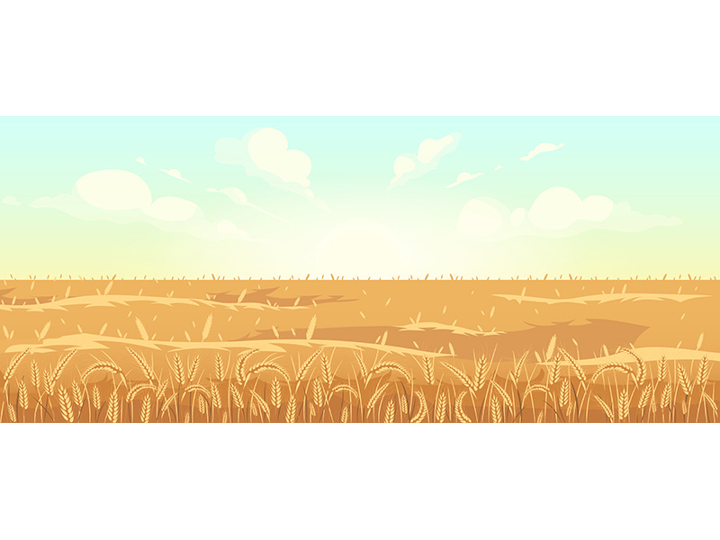 Golden wheat field flat color vector illustration