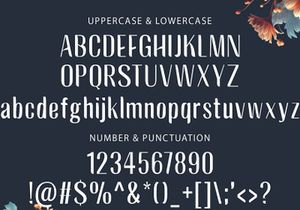 BAGREK DISPLAY - Sans Serif Font