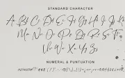 Hamiltone Signature font