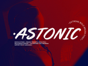 NCL ASTONIC - Bold Brush Script preview picture