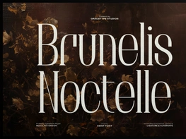 Brunelis Noctelle | Display Serif Font preview picture