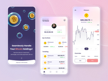 Crypto Currency App UI preview picture