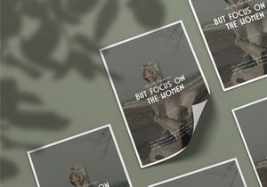 Apocalypto Typeface