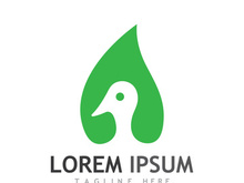 Natural green leaf logo design.