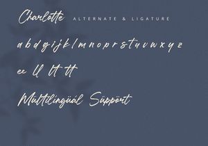 Charlotte - Brush Calligraphy Font