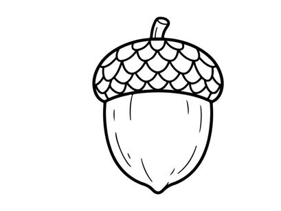 Cute cartoon acorn illustration. Playful nature-themed graphic design for children and educational projects