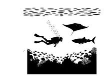 Silhouette of scuba diver and marine life underwater scene