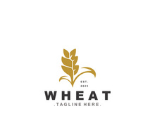Wheat logo concept, agriculture nature wheat grain logo template