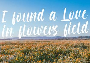 Honeymoon - Handwritten Font