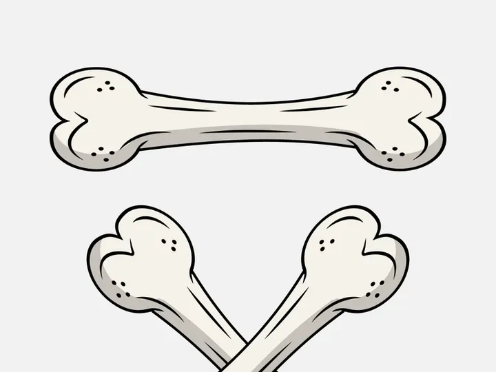Broken Bone. Bone Fracture. Cute Dog Crack and Splint Bones. Dangerous Situation by Trauma to the Body. Vector Illustration for T Shirt Design and Other Usages.