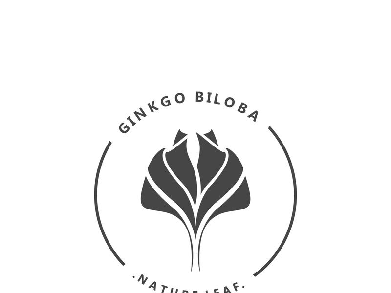 Ginkgo leaf biloba logo nature. Healthy ingredient that is used in medicine for disease treatment with line art style design