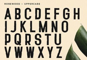 Rosewood - Sans Serif Font