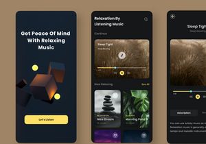 Sokin - Headspace Design Mobile App