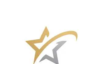Star Logo Icons Template Vector Illustration Design
