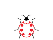 ladybird animal  vector logo symbol icon
