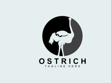 Ostrich Logo Design, Desert Animal Illustration, Living In The Forest, Vector Camel Brand Product