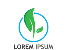 Natural green leaf logo design.