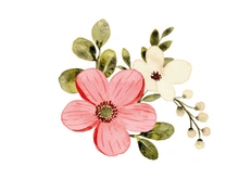 Vector Flower Watercolor Illustration