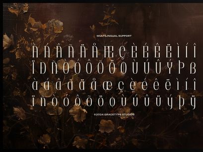 Brunelis Noctelle | Display Serif Font