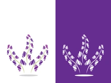 Fresh lavender flower logo vector flat design