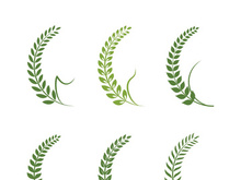 Logos of green Tree leaf ecology
