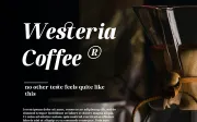 Qusta - Serif Typeface