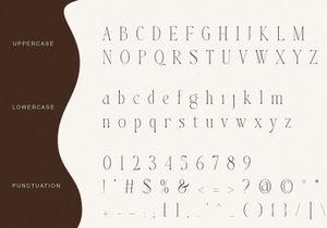 Bingkow modern display serif
