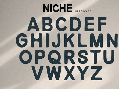 Niche - Rough Display