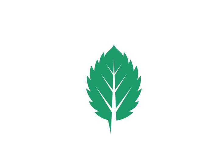 Mint Leaf icon template illustration