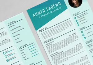 Professional Resume Sadewo