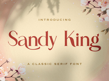 Sandy King - Casual Serif Font preview picture