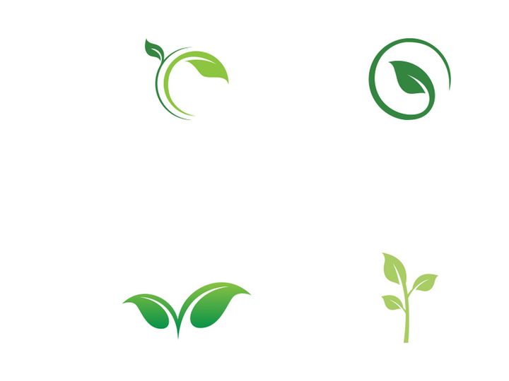 Natural green leaf logo