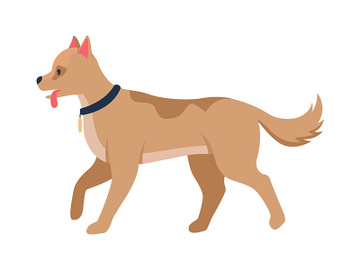 Dog breed for hunting semi flat color vector character preview picture
