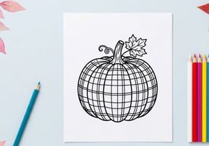 Plaid pumpkin line art illustration. Hand drawn autumn squash with checkered pattern.