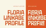 Linkage - Display Font