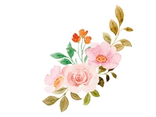 Vector Flower Watercolor Illustration