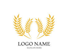 Wheat logo vector icon illustration design