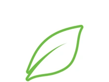 leaf logo green ecology nature element vector image