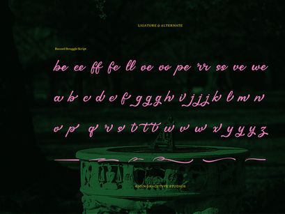 Record Struggle | Hand Drawn Script Vintage