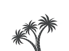 Palm tree summer logo template vector illustration