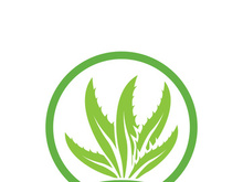 Aloe Vera logo icon design symbol beauty skin care