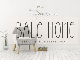 Bale Home preview picture