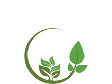 Logos of green tree leaf ecology nature element vector
