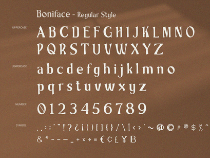 Boniface - Display Serif Font