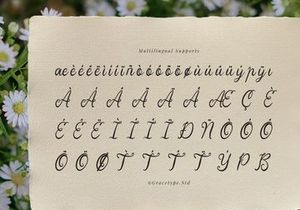 Yinderia | Handwritten Vintage Script
