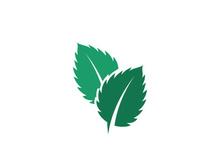 Mint Leaf icon template illustration