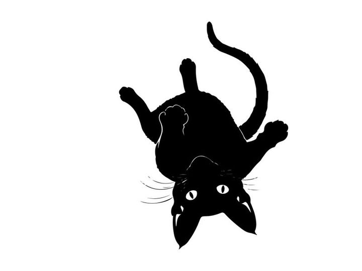Black cat silhouette falling downwards with surprised expression