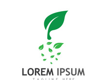 Natural green leaf logo design.